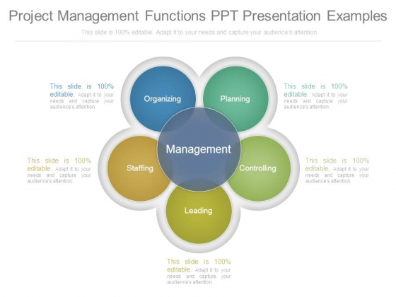 Project Management Functions Ppt Presentation Examples Project Management Functions Ppt Presentation Examples
