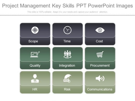 Project Management Key Skills Ppt Powerpoint Images Project Management Key Skills Ppt Powerpoint Images