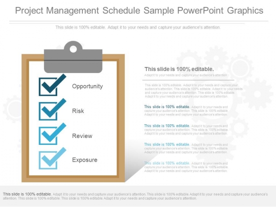 Project Management Schedule Sample Powerpoint Graphics