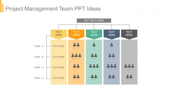 Project Management Team Ppt Ideas
