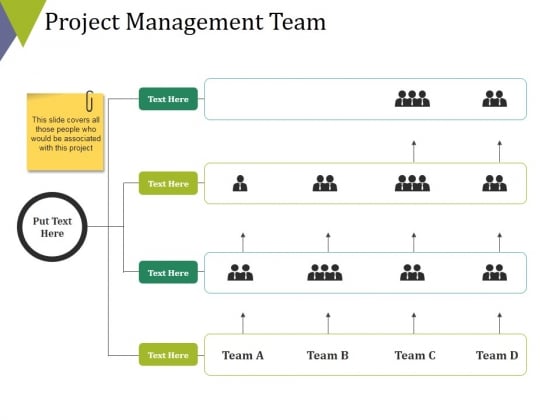Project_Management_Team_Ppt_PowerPoint_Presentation_Gallery_Background_Slide_1