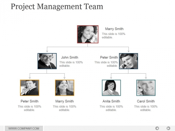 Project Management Team Ppt PowerPoint Presentation Guide