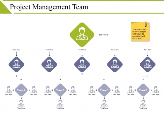 Project Management Team Ppt PowerPoint Presentation Show Images Project Management Team Ppt PowerPoint Presentation Show Images