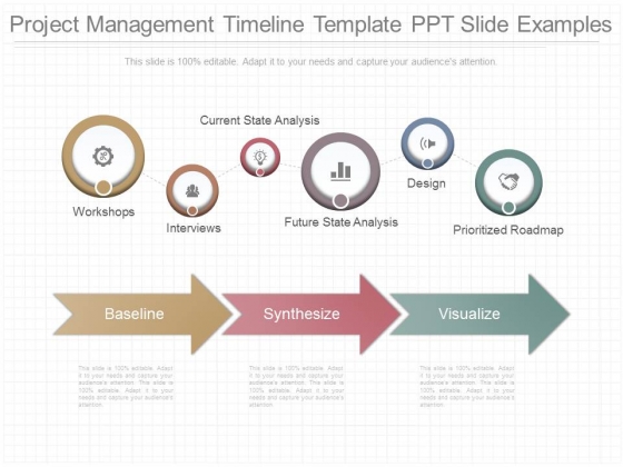 Project Management Timeline Template Ppt Slide Examples Project Management Timeline Template Ppt Slide Examples