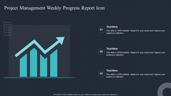 Project Management Weekly Progress Report Icon Ppt Professional Icons PDF