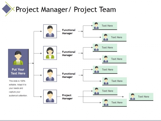 Project_Manager_Project_Team_Template_2_Ppt_PowerPoint_Presentation_Styles_Graphic_Tips_Slide_1