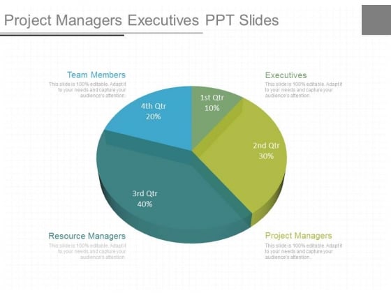 Project Managers Executives Ppt Slides Project Managers Executives Ppt Slides