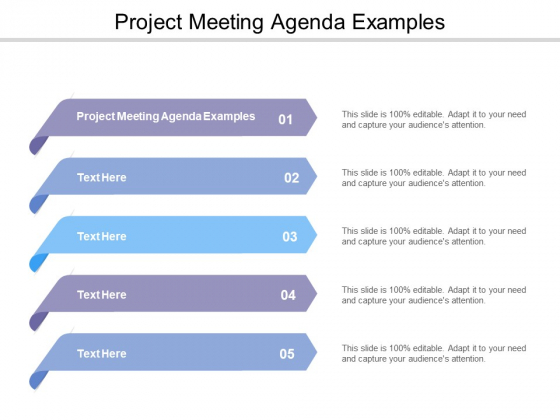 Project Meeting Agenda Examples Ppt Powerpoint Presentation Summary Layout Cpb