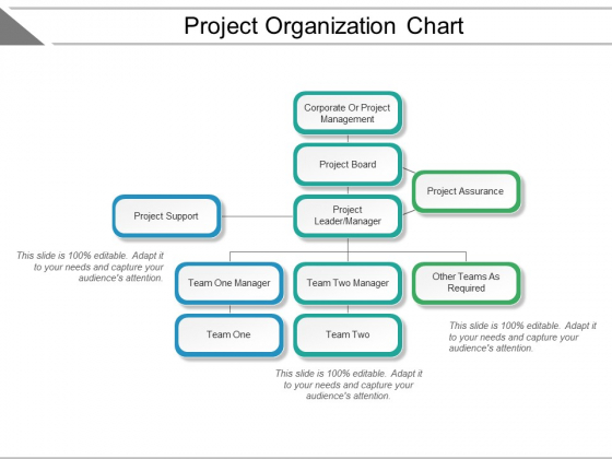 Project Organization Chart Ppt PowerPoint Presentation Summary Elements
