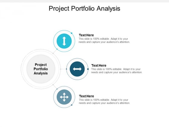 project portfolio analysis ppt powerpoint presentation infographic template rules cpb