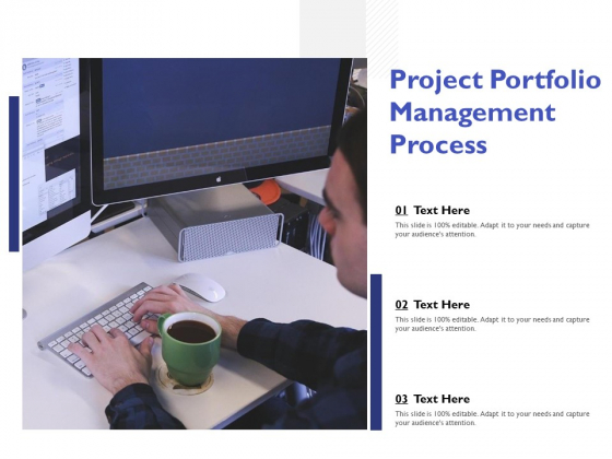 Project Portfolio Management Process Ppt PowerPoint Presentation Summary Images