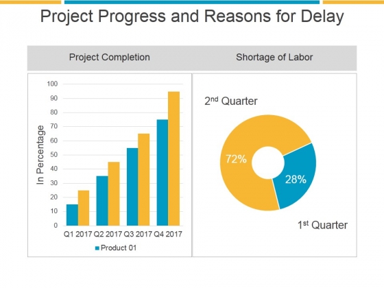 Project Progress And Reasons For Delay Ppt PowerPoint Presentation Gallery