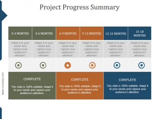 Project Progress Summary Ppt PowerPoint Presentation Infographic Template