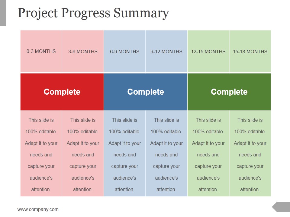 Project Progress Summary Template 1 Ppt PowerPoint Presentation Styles ...