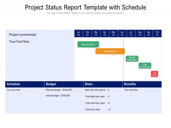 Project Status Report Template With Schedule Ppt PowerPoint Presentation Pictures Display PDF