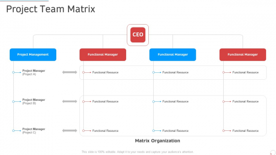 Project Team Matrix Manufacturing Control Ppt Pictures Guide PDF Project Team Matrix Manufacturing Control Ppt Pictures Guide PDF