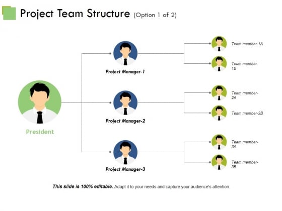 Project Team Structure Ppt PowerPoint Presentation Inspiration Show Project Team Structure Ppt PowerPoint Presentation Inspiration Show