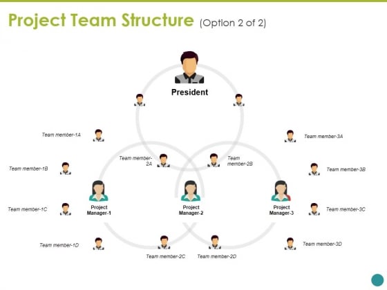 Project Team Structure Ppt PowerPoint Presentation Layouts Background
