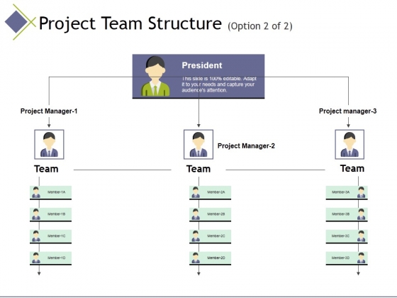 Project Team Structure Template 2 Ppt PowerPoint Presentation Infographics Ideas Project Team Structure Template 2 Ppt PowerPoint Presentation Infographics Ideas