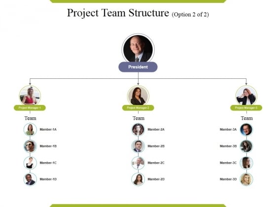 Team Structure Template