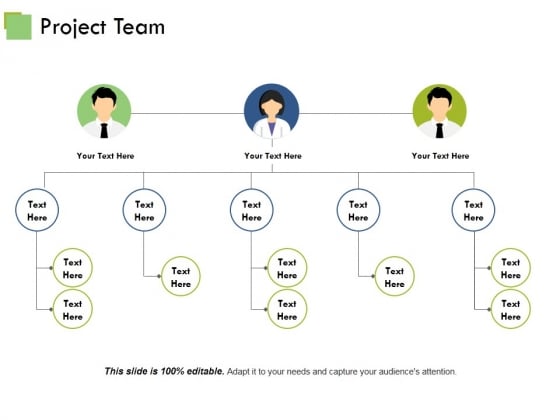 Project Team Template 1 Ppt PowerPoint Presentation Summary Samples Project Team Template 1 Ppt PowerPoint Presentation Summary Samples