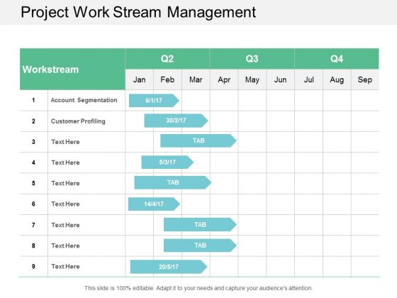Project Work Stream Management Ppt Powerpoint Presentation Inspiration Example Introduction