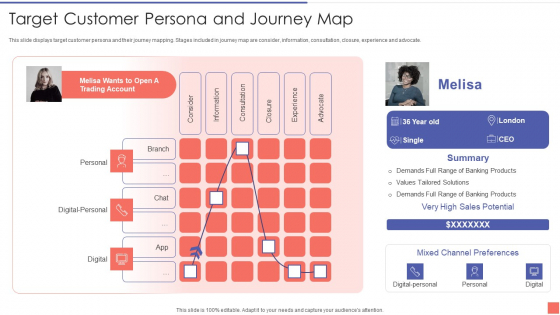 Providing Electronic Financial Services To Existing Consumers Target Customer Persona And Journey Map Graphics PDF