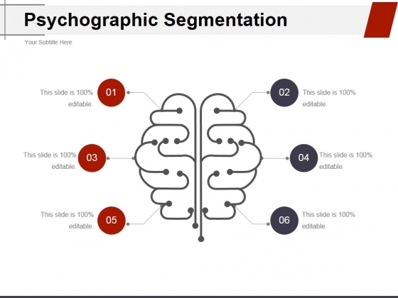 Psychographic Segmentation Ppt PowerPoint Presentation Icon Graphics Pictures