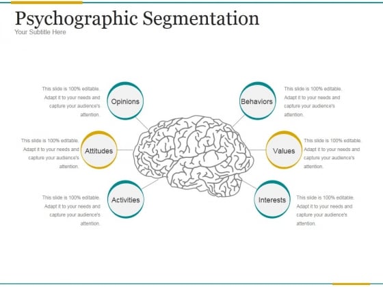 Psychographic Segmentation Ppt PowerPoint Presentation Information