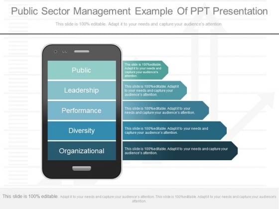 Public Sector Management Example Of Ppt Presentation Public Sector Management Example Of Ppt Presentation