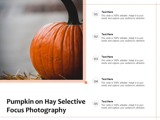 Pumpkin On Hay Selective Focus Photography Ppt PowerPoint Presentation File Gallery PDF Pumpkin On Hay Selective Focus Photography Ppt PowerPoint Presentation File Gallery PDF