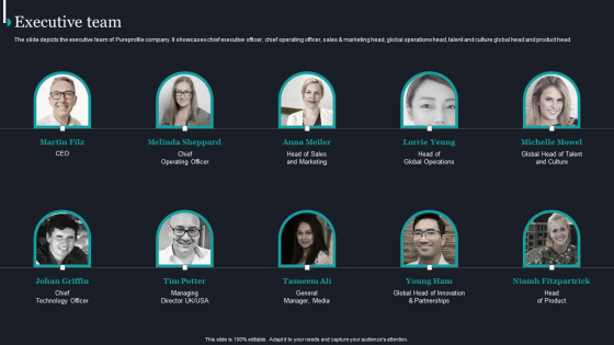Pureprofile Business Overview Executive Team Ppt Model Graphics Download PDF Pureprofile Business Overview Executive Team Ppt Model Graphics Download PDF