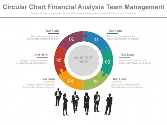 Puzzle Pie Chart With Team For Financial Analysis Powerpoint Slides