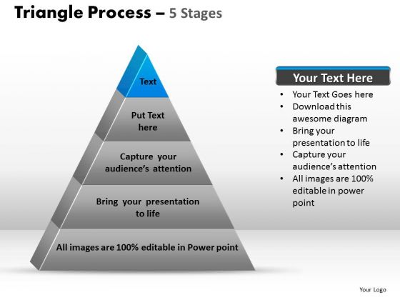 PowerPoint Designs Leadership Triangle Process Ppt Design PowerPoint Designs Leadership Triangle Process Ppt Design