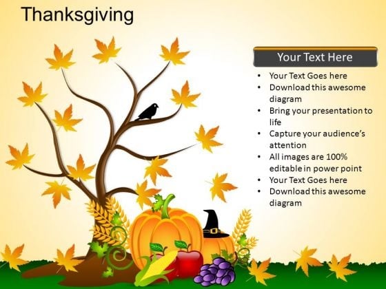PowerPoint Presentation Designs Thanksgiving Ppt Backgrounds PowerPoint Presentation Designs Thanksgiving Ppt Backgrounds