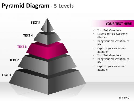 PowerPoint Process Company Cone Diagram Ppt Designs PowerPoint Process Company Cone Diagram Ppt Designs