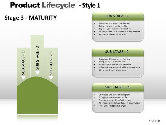 PowerPoint Template Strategy Product Lifecycle Ppt Themes PowerPoint Template Strategy Product Lifecycle Ppt Themes