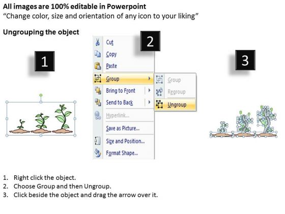 Ppt Slide 3 Steps Growing Plants Marketing image template