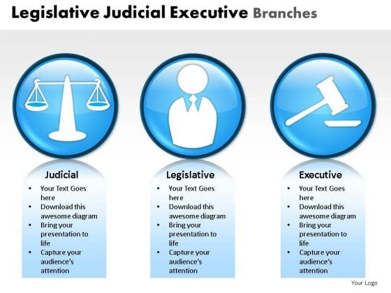 Prosecutor Legislative Judicial Executive Branches PowerPoint Slides And Ppt Diagram Templates Prosecutor Legislative Judicial Executive Branches PowerPoint Slides And Ppt Diagram Templates