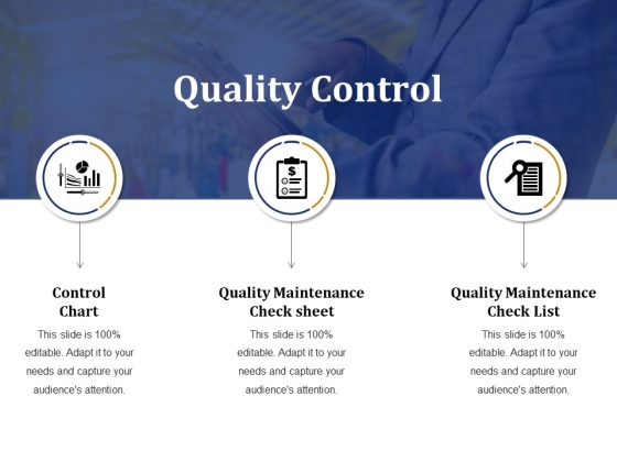 Quality Control Ppt PowerPoint Presentation Gallery Structure