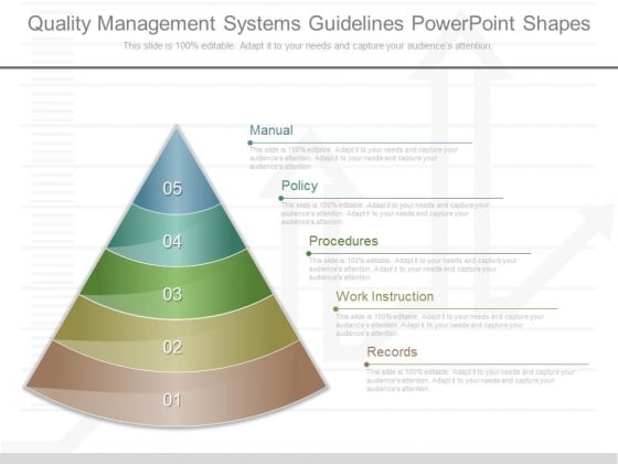 Quality Management Systems Guidelines Powerpoint Shapes