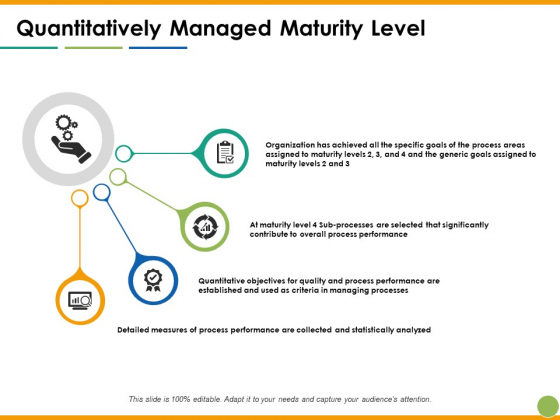 Quantitatively Managed Maturity Level Ppt PowerPoint Presentation Professional Topics Quantitatively Managed Maturity Level Ppt PowerPoint Presentation Professional Topics