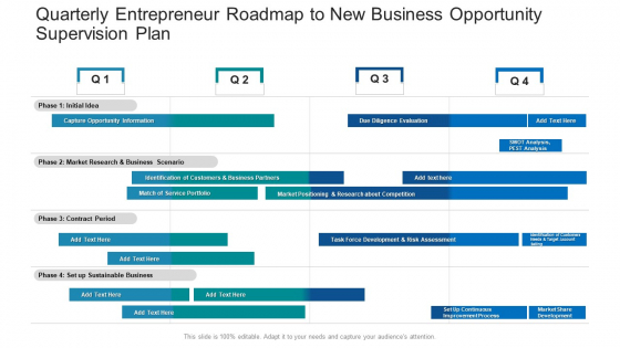 Quarterly Entrepreneur Roadmap To New Business Opportunity Supervision Plan Icons PDF
