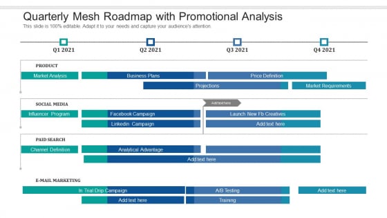 Quarterly Mesh Roadmap With Promotional Analysis Professional Quarterly Mesh Roadmap With Promotional Analysis Professional