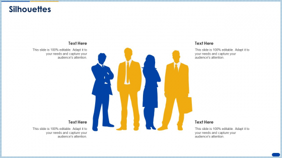 Raising Capital Banking Organizations Post Initial Public Offering Silhouettes Summary PDF Raising Capital Banking Organizations Post Initial Public Offering Silhouettes Summary PDF
