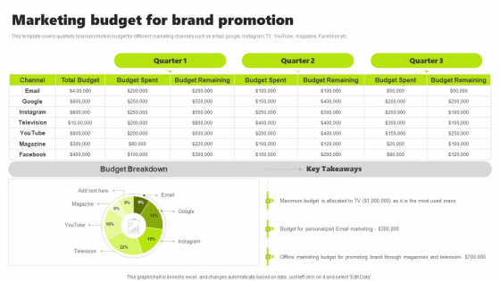 Rebrand Kick Off Plan Marketing Budget For Brand Promotion Graphics PDF