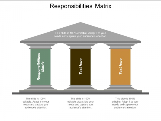 Responsibilities Matrix Ppt Powerpoint Presentation Gallery Slides Cpb