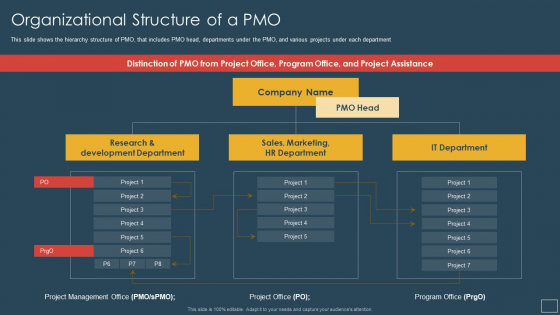 Responsibility Project Management Office Team Support Digital Company Organizational Structure PMO Diagrams PDF