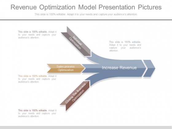 Revenue Optimization Model Presentation Pictures Revenue Optimization Model Presentation Pictures