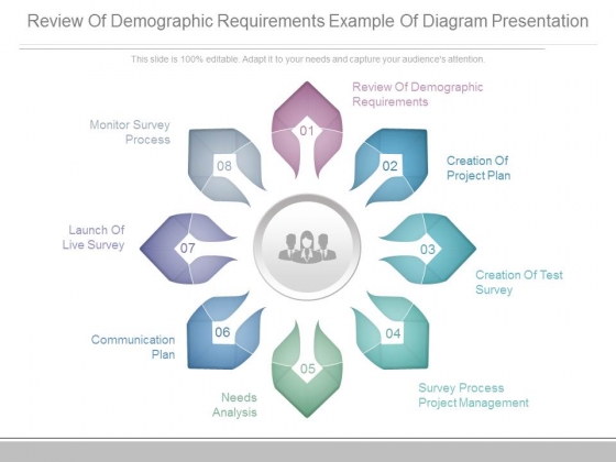 Review Of Demographic Requirements Example Of Diagram Presentation Review Of Demographic Requirements Example Of Diagram Presentation